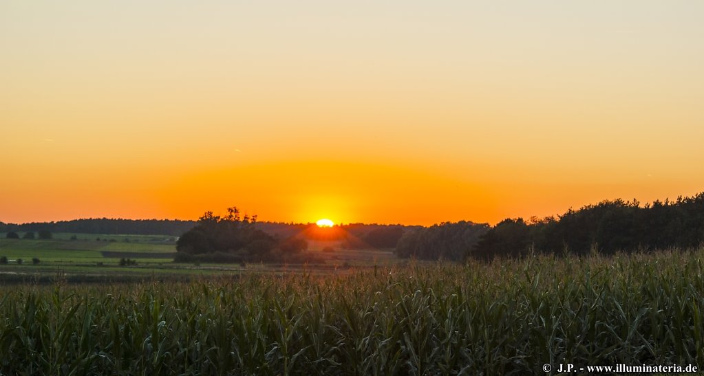 Autumnal sunset